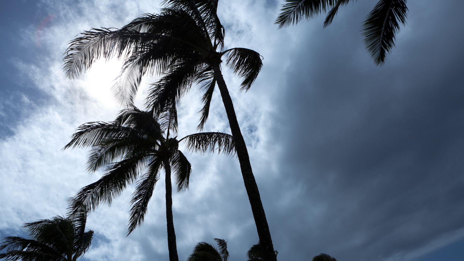 hurricane prep in port charlotte florida